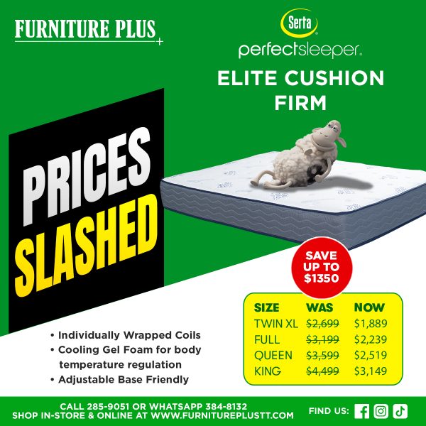 Spinal Zone Elite Cushion Firm Mattress
