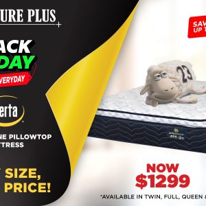 Spinal Zone Pillowtop Mattress - Twin (39″ x 75″)