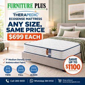 Therapedic Ecosense Mattress
