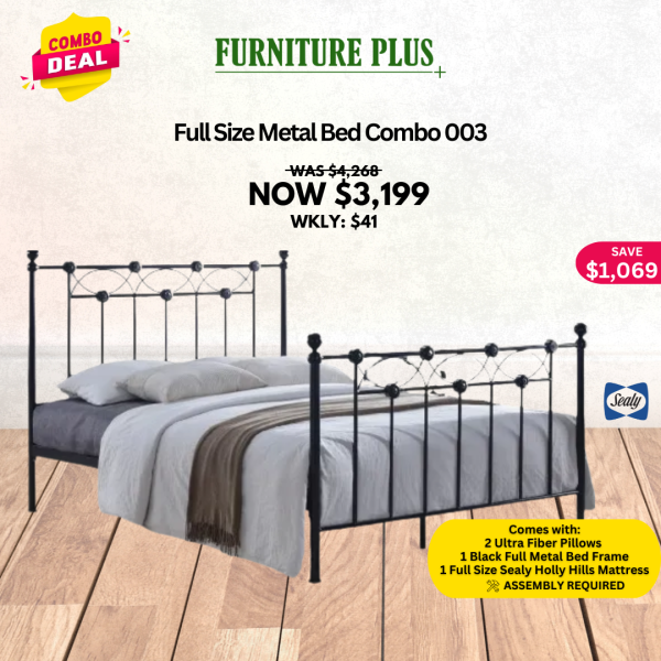 Full Size Metal Bed Combo 003