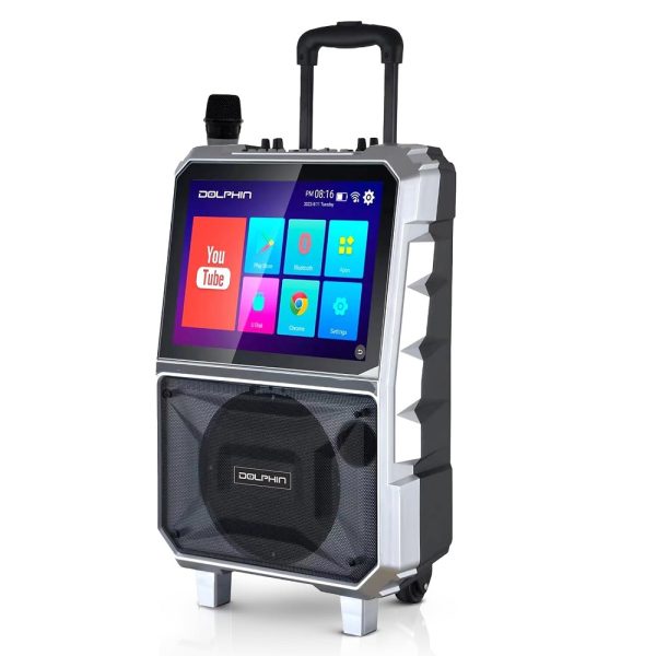 Dolphin Karaoke Machine w/14" Tablet Screen