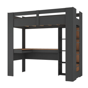 Twin Size Loft Bed w/Desk + Bookcase GR