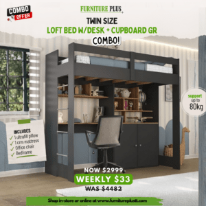Twin Size Loft Bed w/Desk + Cupboard GR Combo